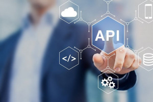 API security jimber