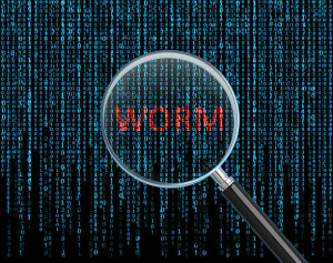computer worm malware jimber